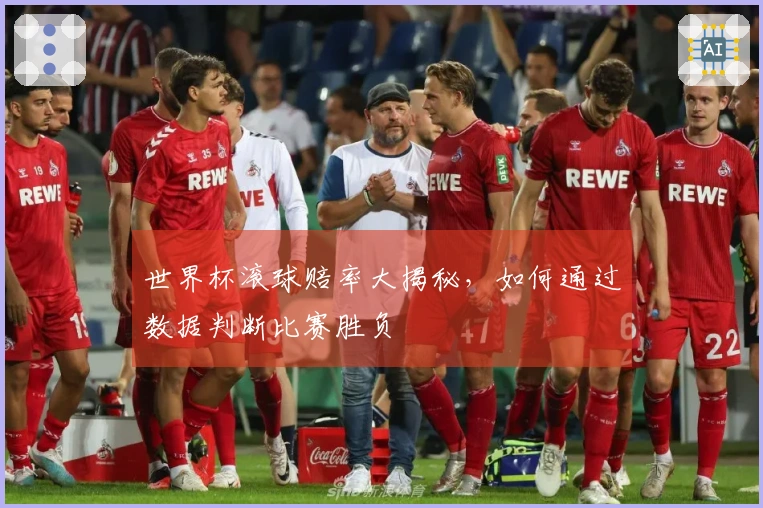 世界杯滚球赔率大揭秘，如何通过数据判断比赛胜负