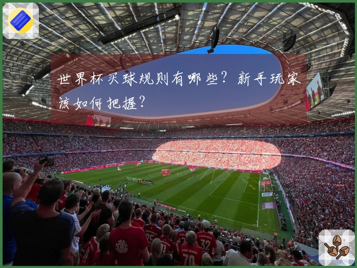 世界杯买球规则有哪些？新手玩家该如何把握？