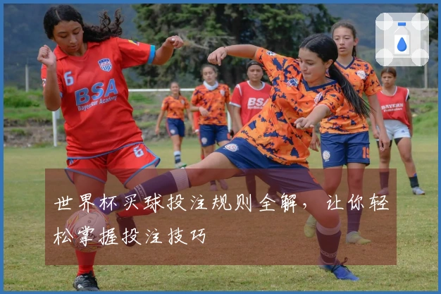 世界杯买球投注规则全解，让你轻松掌握投注技巧