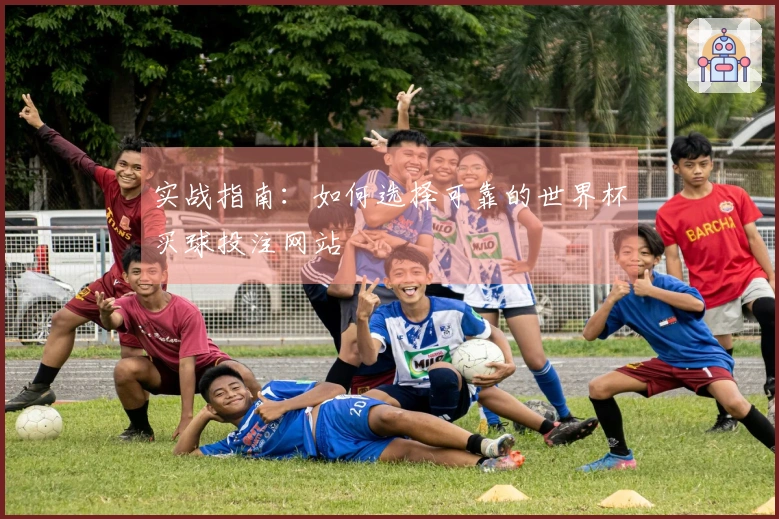 实战指南：如何选择可靠的世界杯买球投注网站
