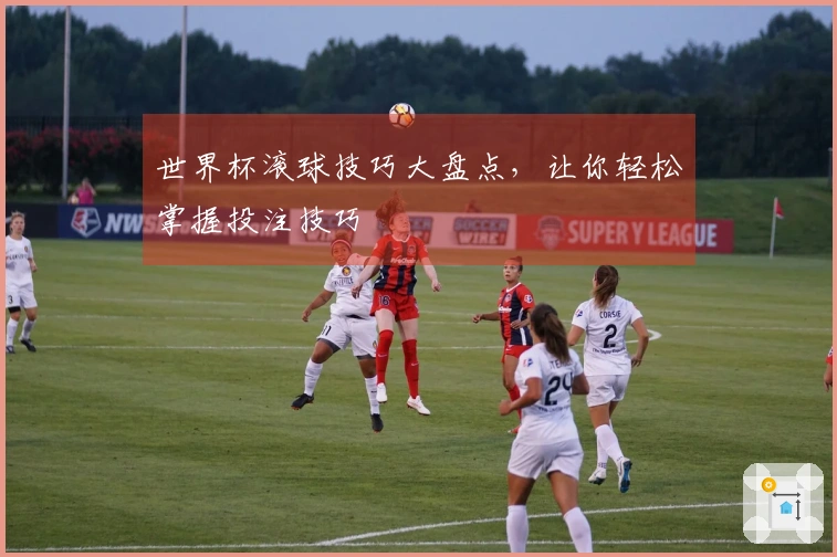 世界杯滚球技巧大盘点，让你轻松掌握投注技巧
