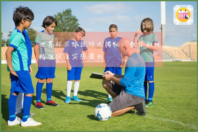 世界杯买球技巧大揭秘，教你如何精准投注实现盈利